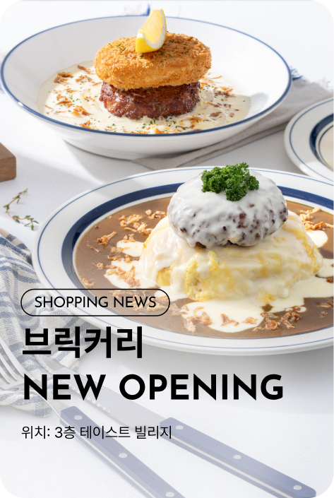 [쇼핑뉴스_파주점] 브릭커리 NEW OPENING