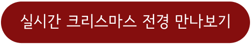 실시간 크리스마스 전경 만나보기